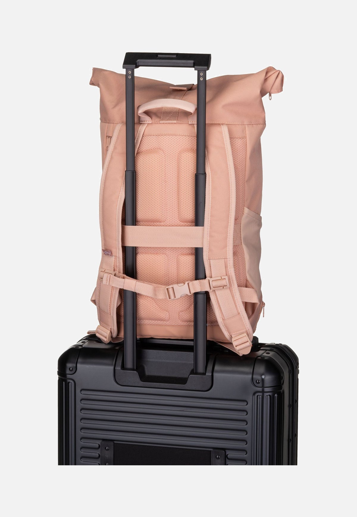 Johnny Urban Allen Medium Rosa Rolltop Rucksack